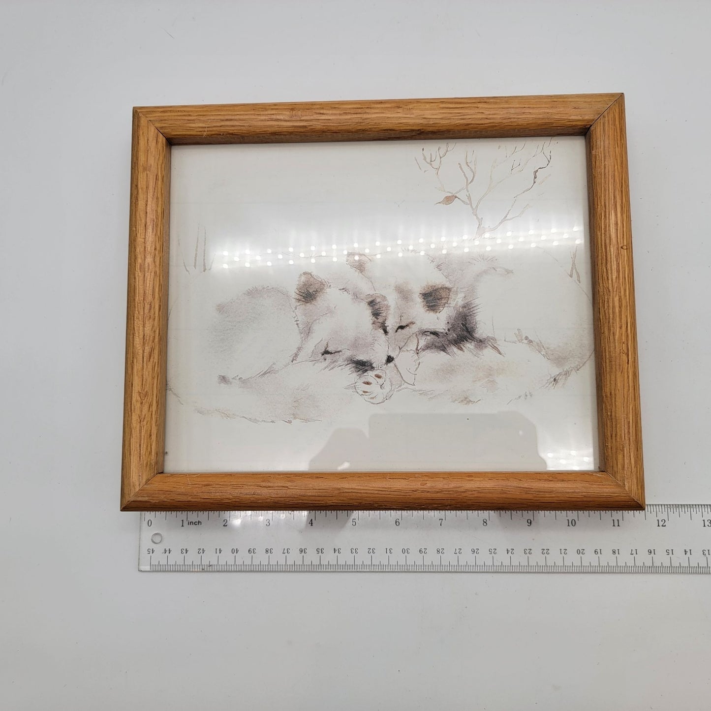 Vintage Sleeping Foxes Oak Framed Print