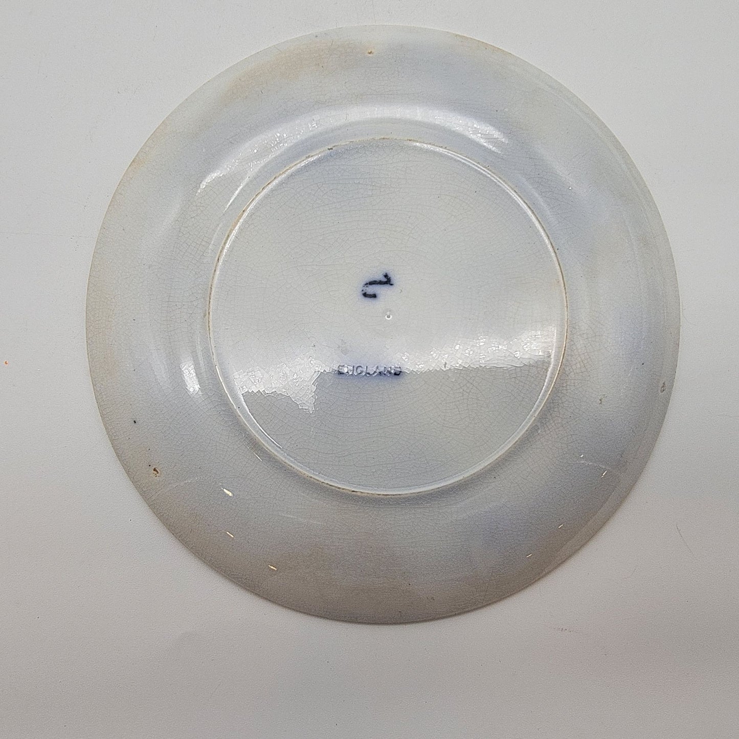 Antique Flow Blue Souvenir Seattle WA Plate