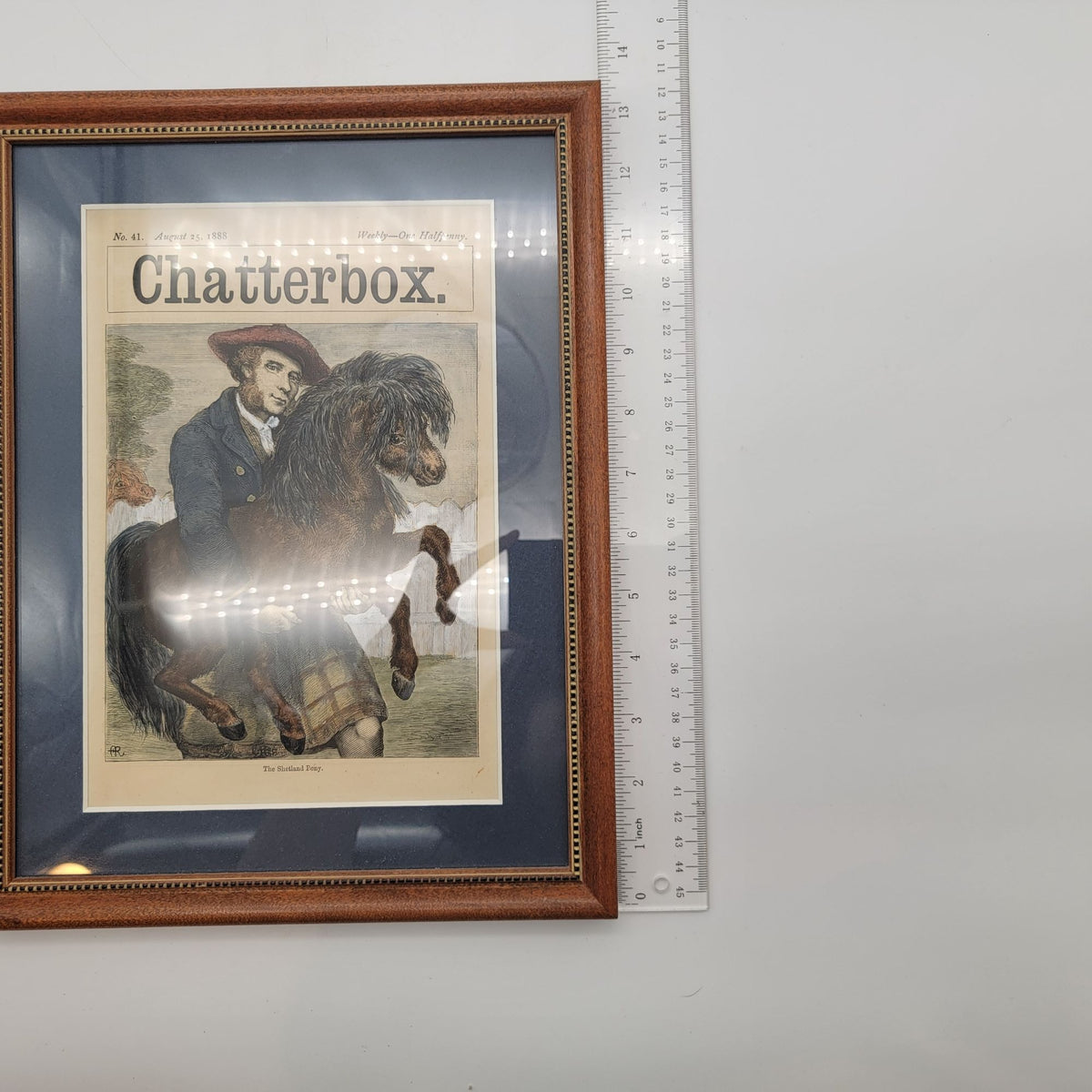 Victorian 1888 Chatterbox Magazine Cover August 1888 Shetland Pony