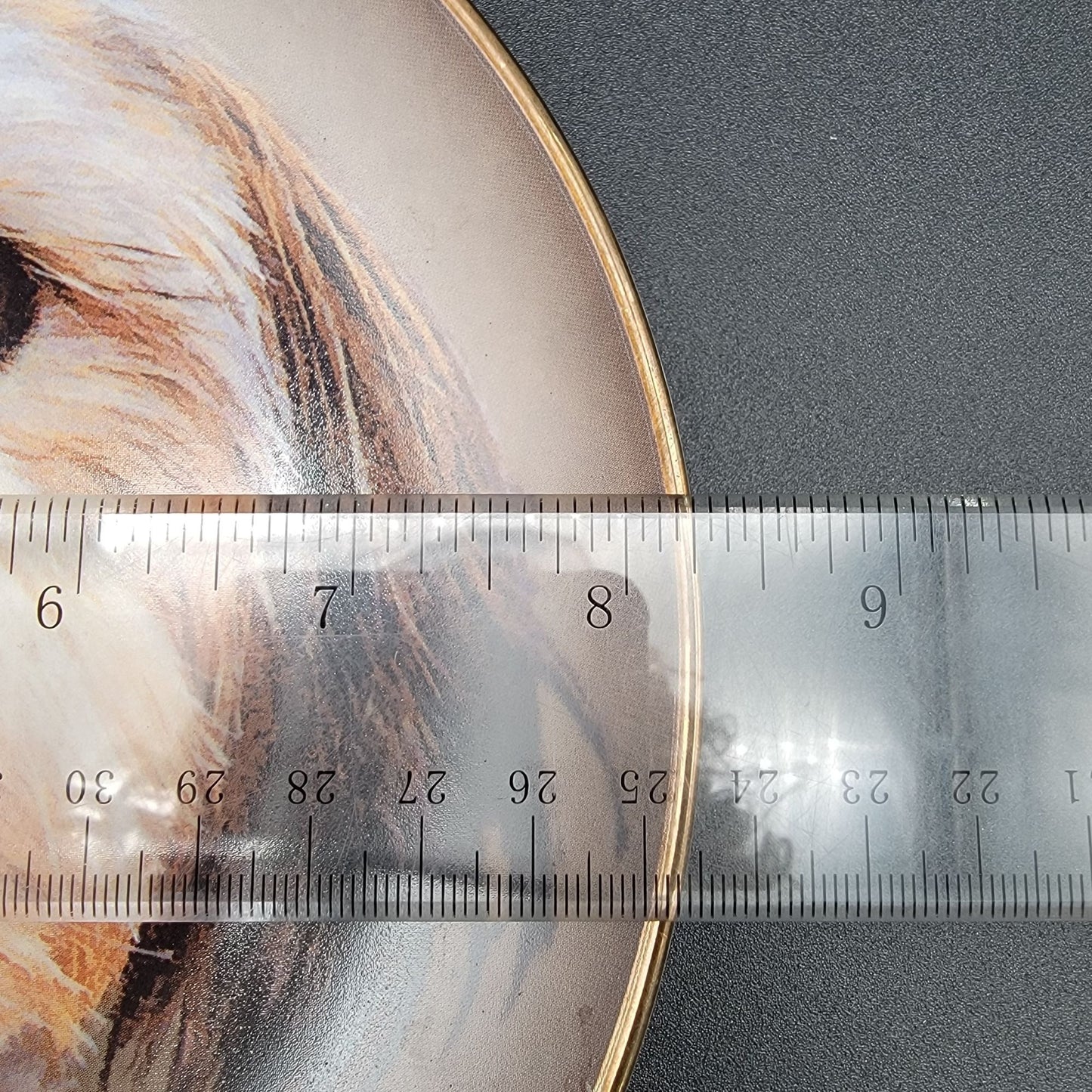 Vintage Eyes Of Love Danbury Mint Cherished Shih Tzus Collection Limited Edition Plate