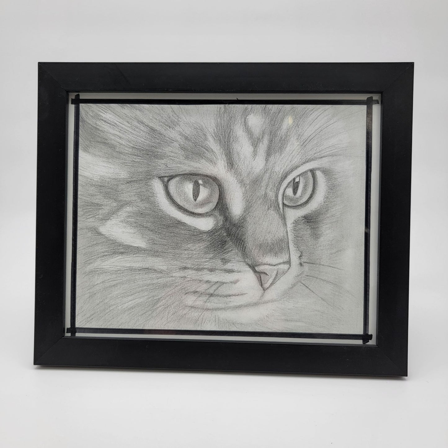 Hand-Drawn Pencil Sketch Of Tabby Cat Face