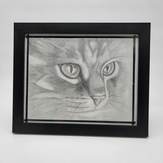 Hand-Drawn Pencil Sketch Of Tabby Cat Face