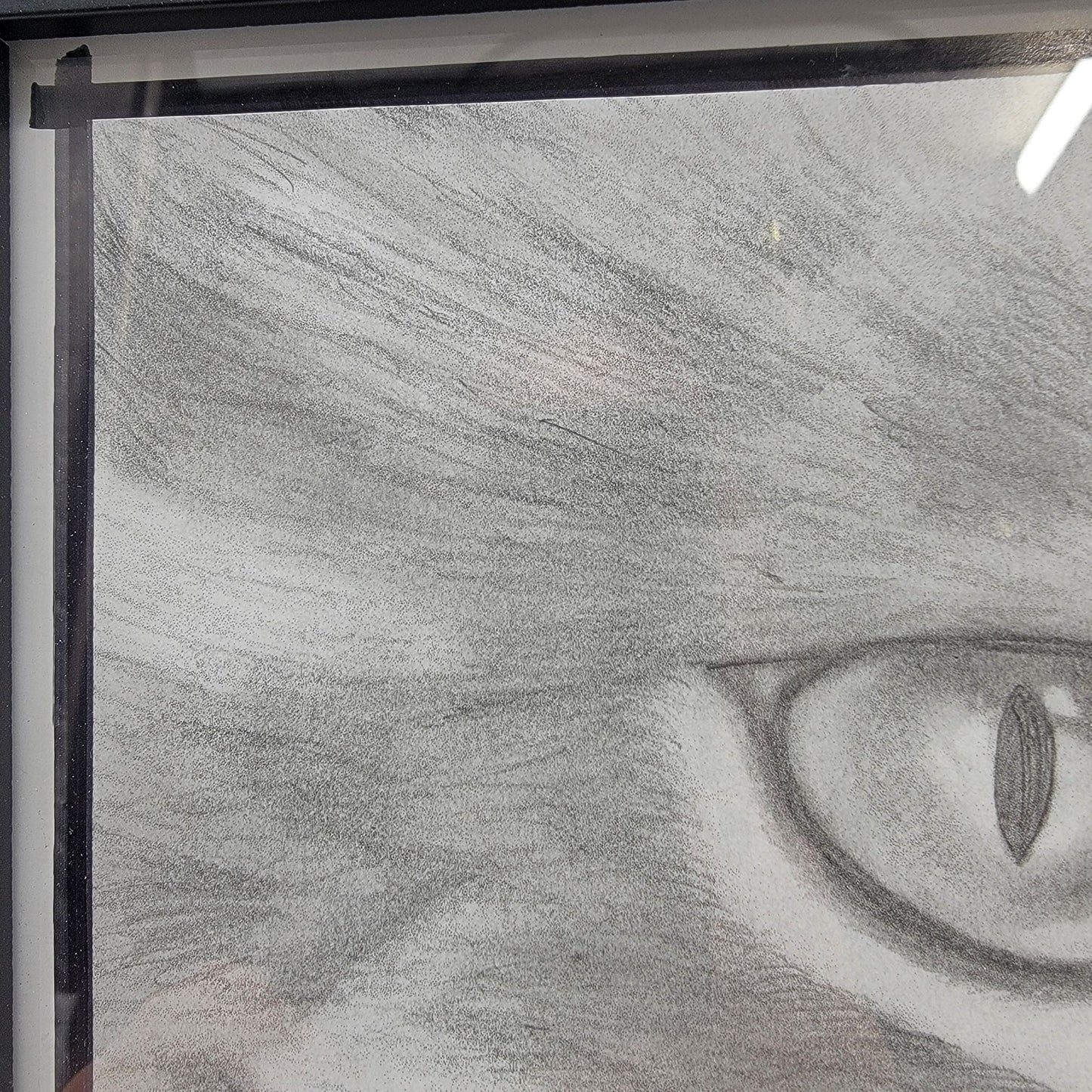 Hand-Drawn Pencil Sketch Of Tabby Cat Face