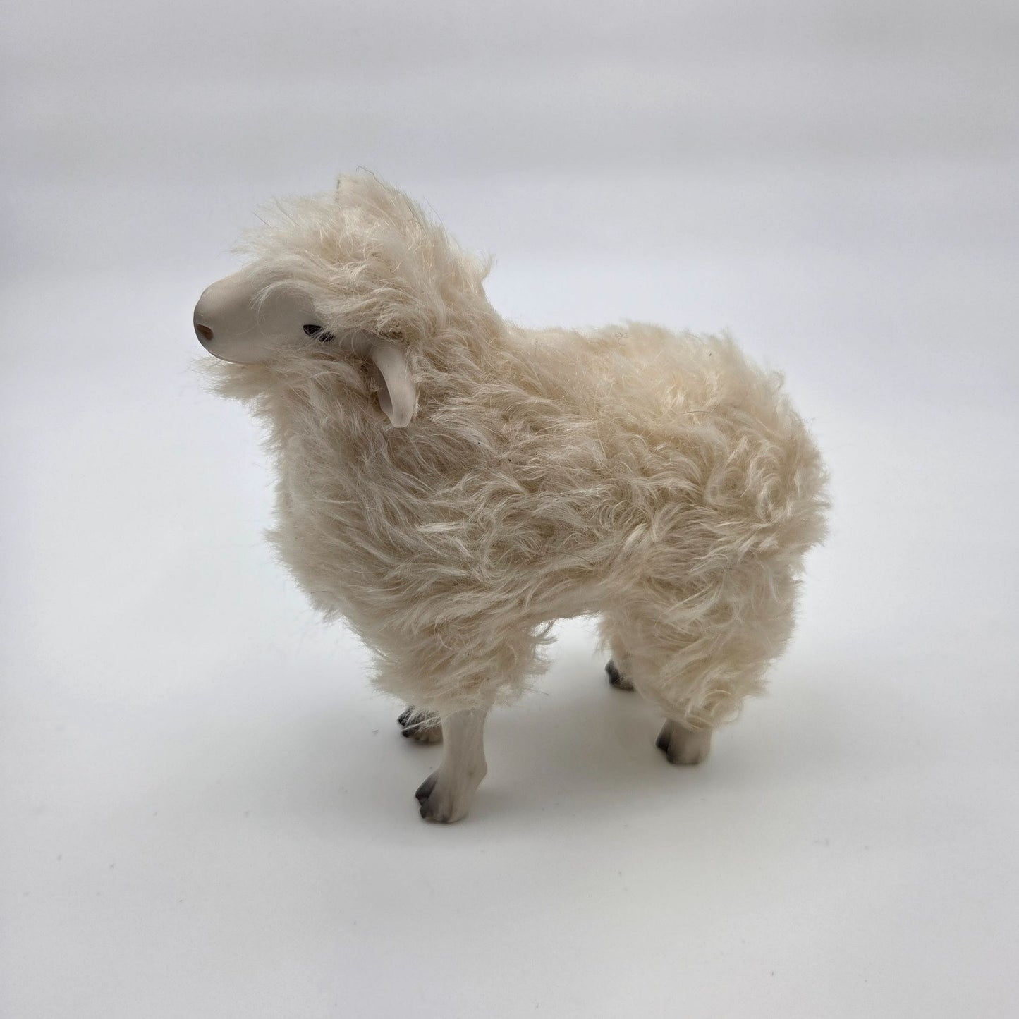 Meier Germany Real Wool Dorset Sheep Sculpture
