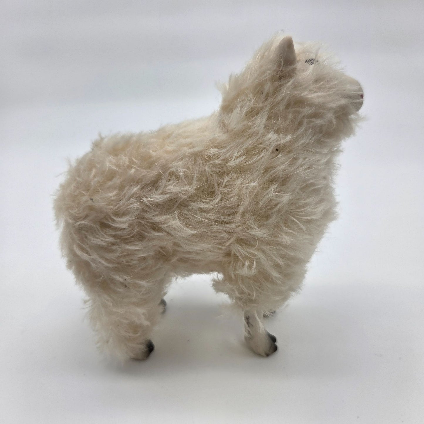 Meier Germany Real Wool Dorset Sheep Sculpture