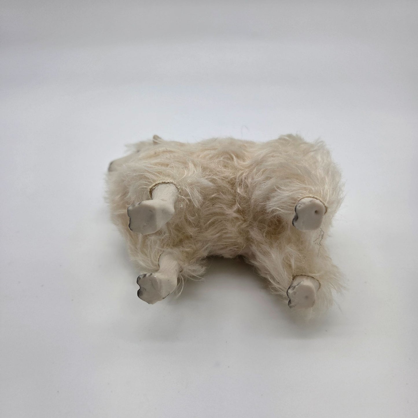 Meier Germany Real Wool Dorset Sheep Sculpture