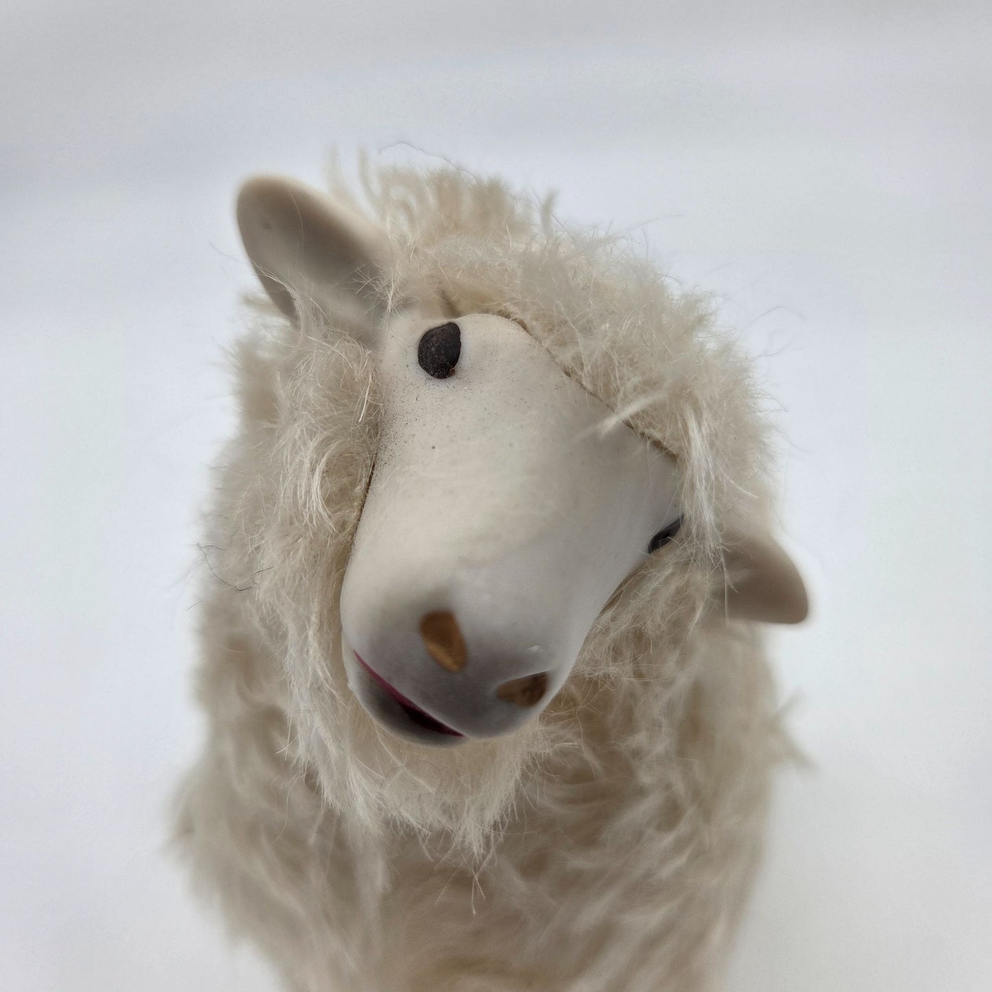 Meier Germany Real Wool Dorset Sheep Sculpture