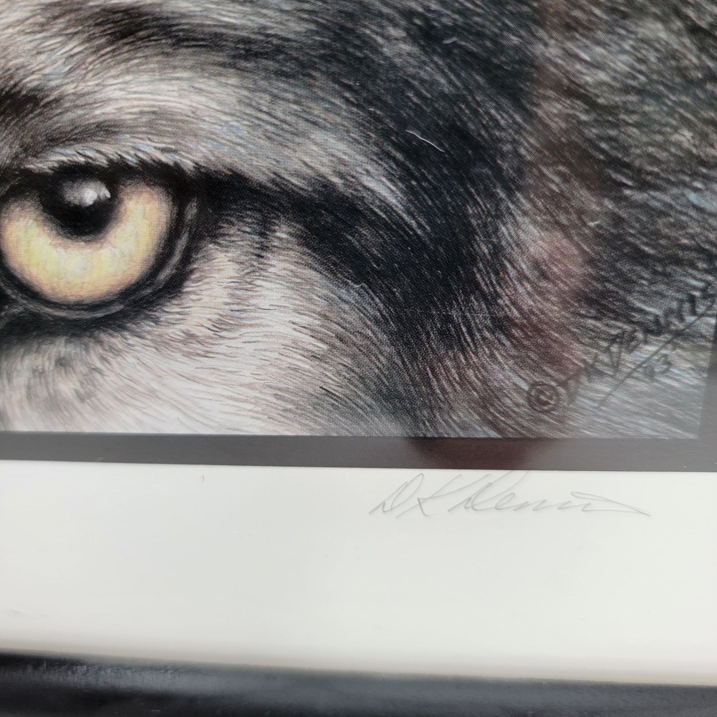 "Predators" Grey Wolf Eyes Framed Print By D.K. Dennis