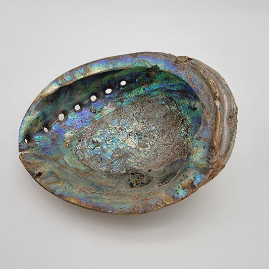 Natural Abalone Shell Smudge Bowl 7" x 5.5"