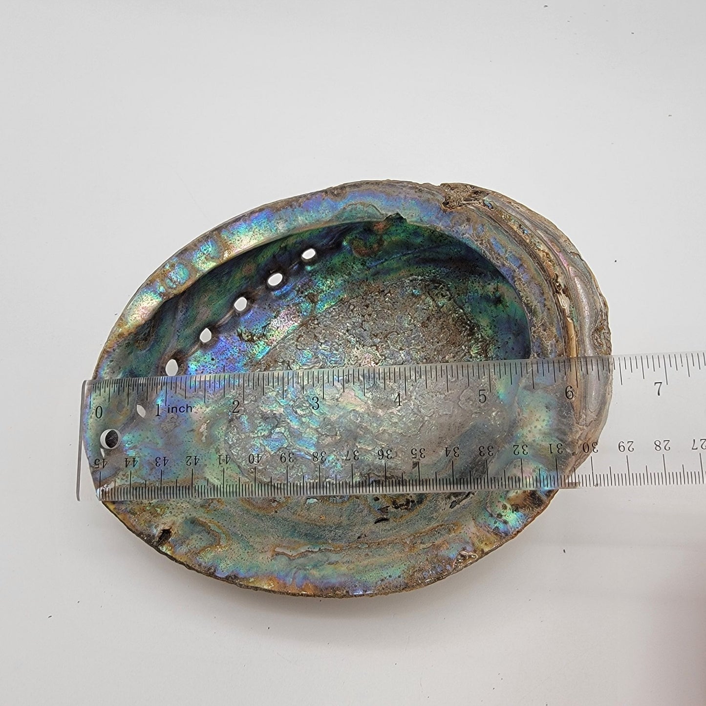 Natural Abalone Shell Smudge Bowl 7" x 5.5"