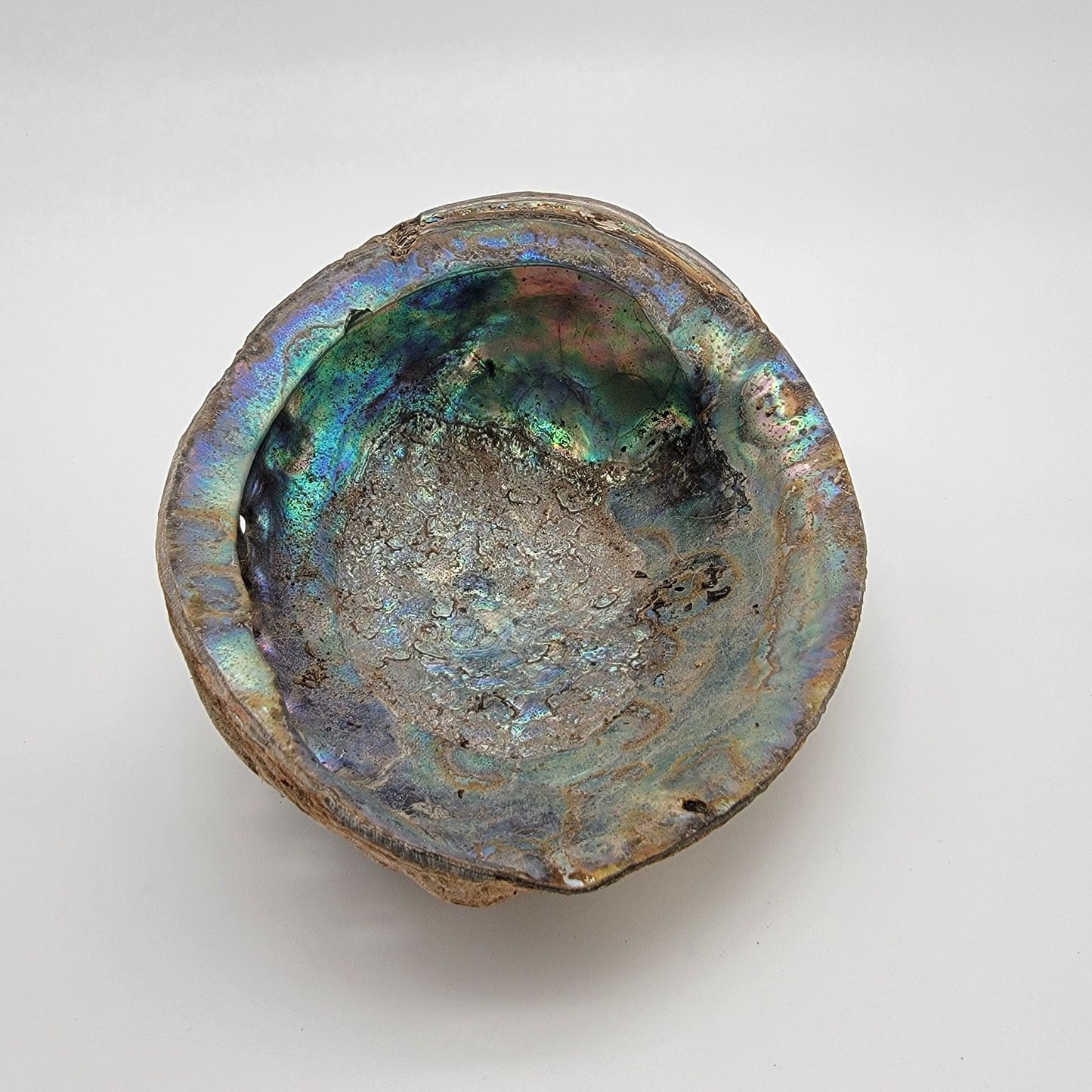 Natural Abalone Shell Smudge Bowl 7" x 5.5"