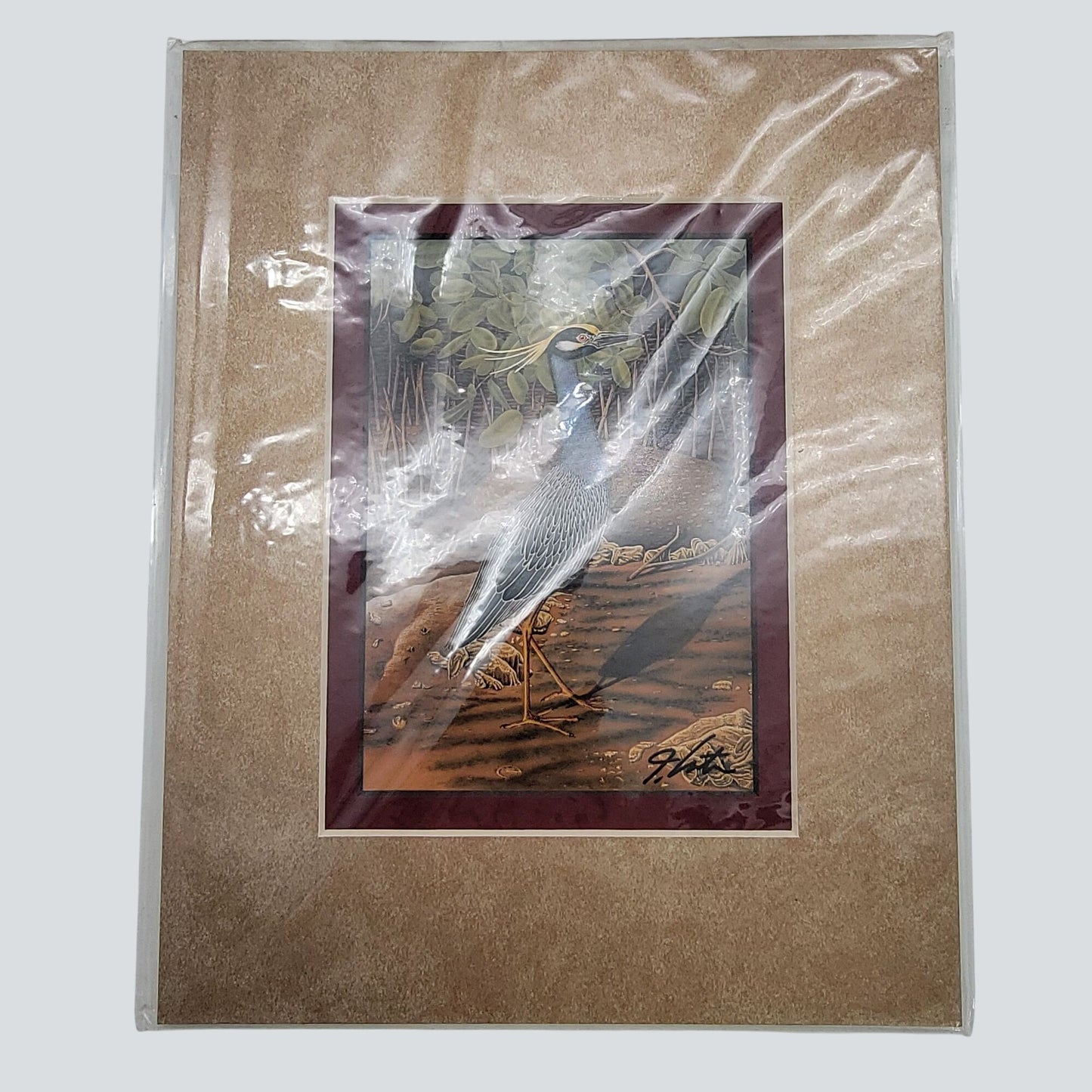 "Yellow-Crowned Night Heron" Signed Lithograph By John Costin Matted Art