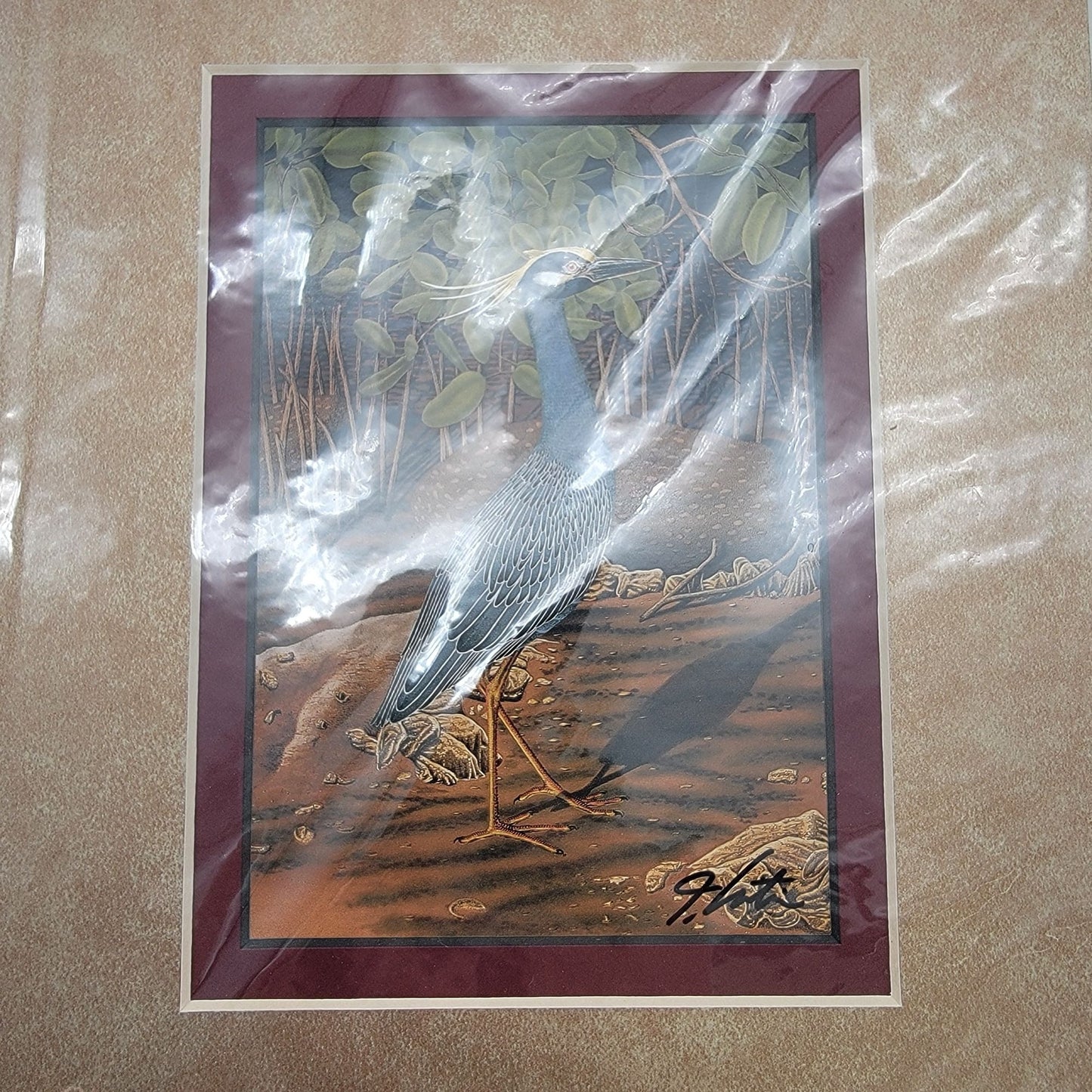 "Yellow-Crowned Night Heron" Signed Lithograph By John Costin Matted Art