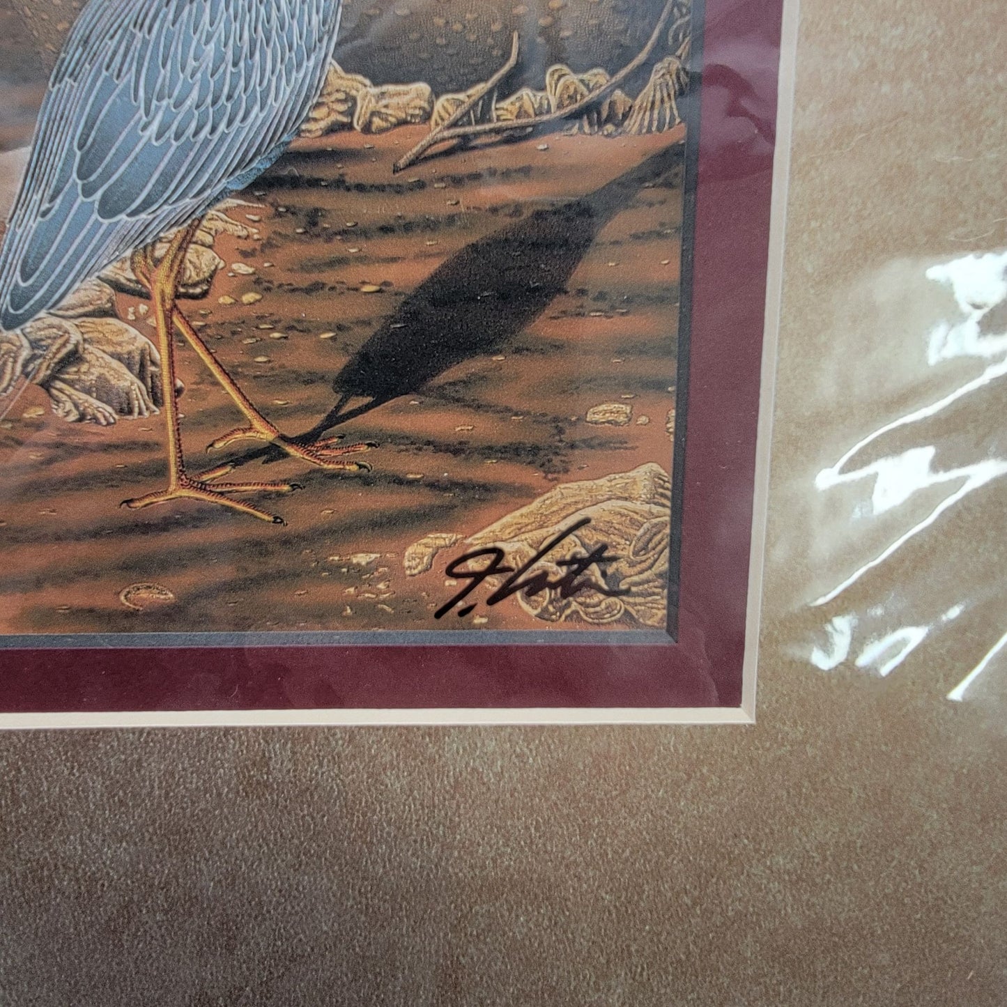 "Yellow-Crowned Night Heron" Signed Lithograph By John Costin Matted Art