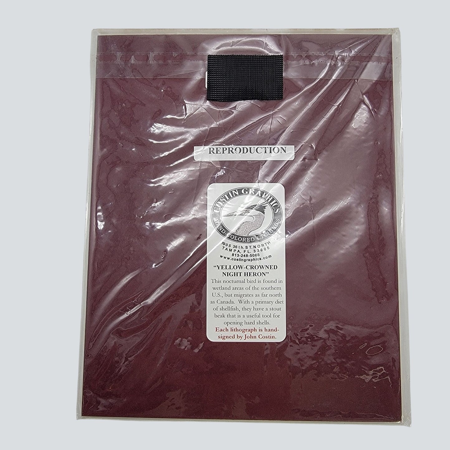 "Yellow-Crowned Night Heron" Signed Lithograph By John Costin Matted Art