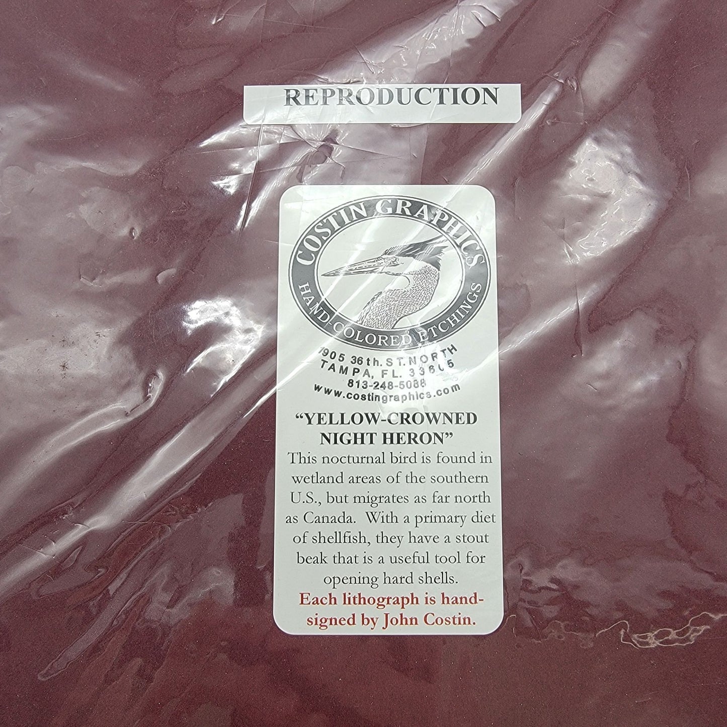 "Yellow-Crowned Night Heron" Signed Lithograph By John Costin Matted Art