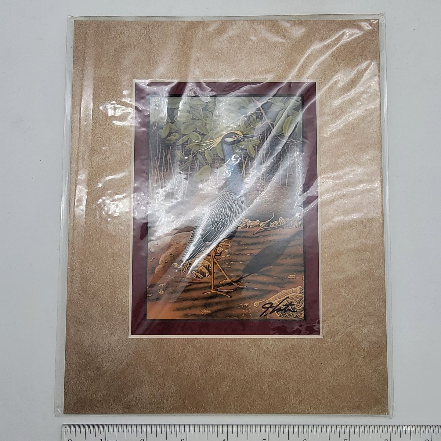 "Yellow-Crowned Night Heron" Signed Lithograph By John Costin Matted Art