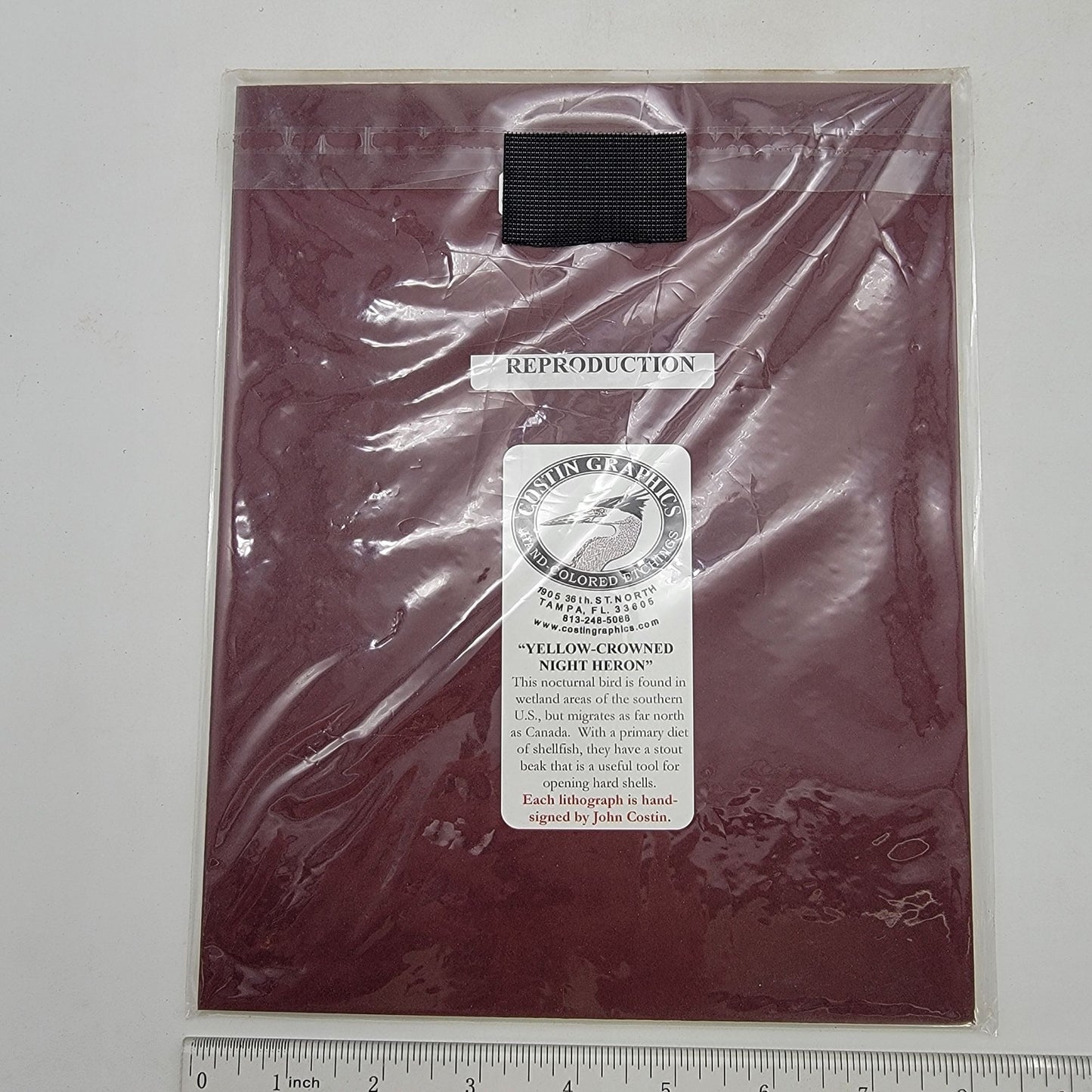 "Yellow-Crowned Night Heron" Signed Lithograph By John Costin Matted Art