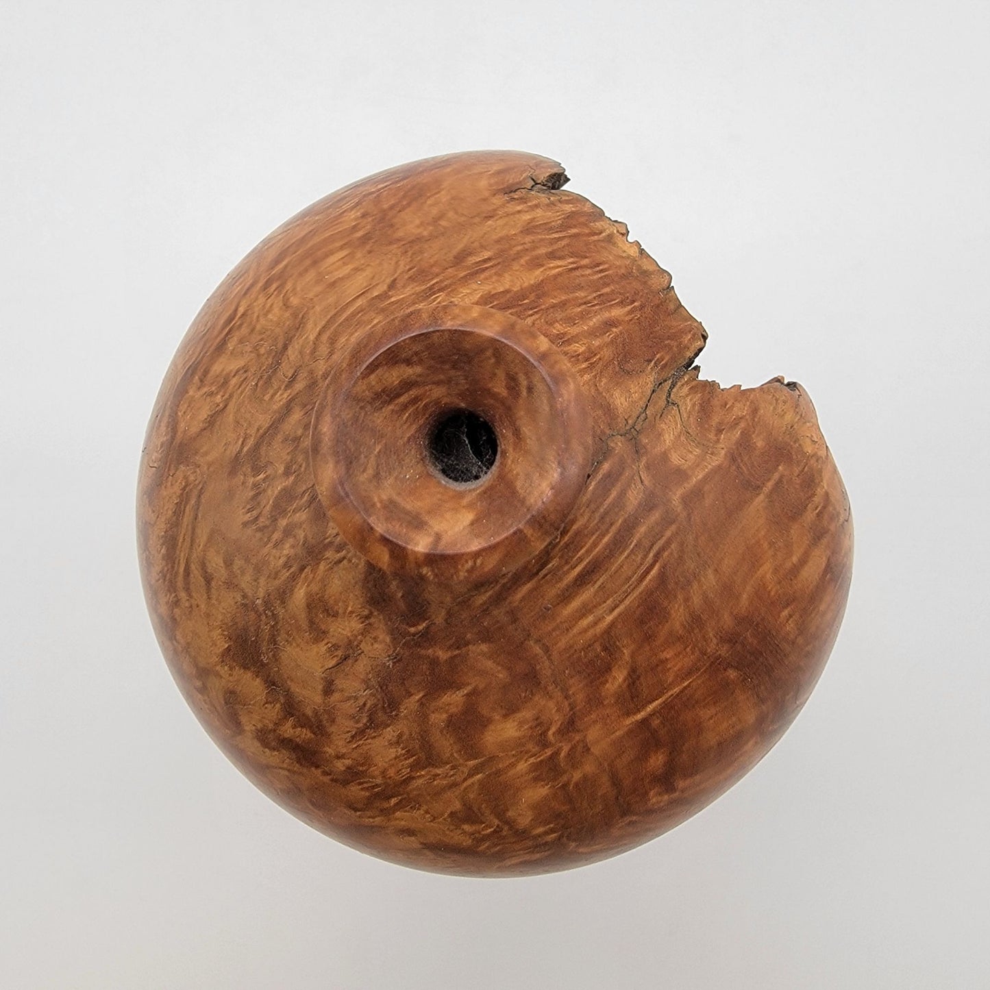Bill Jackson Australian Mallee Root Burlwood Vase