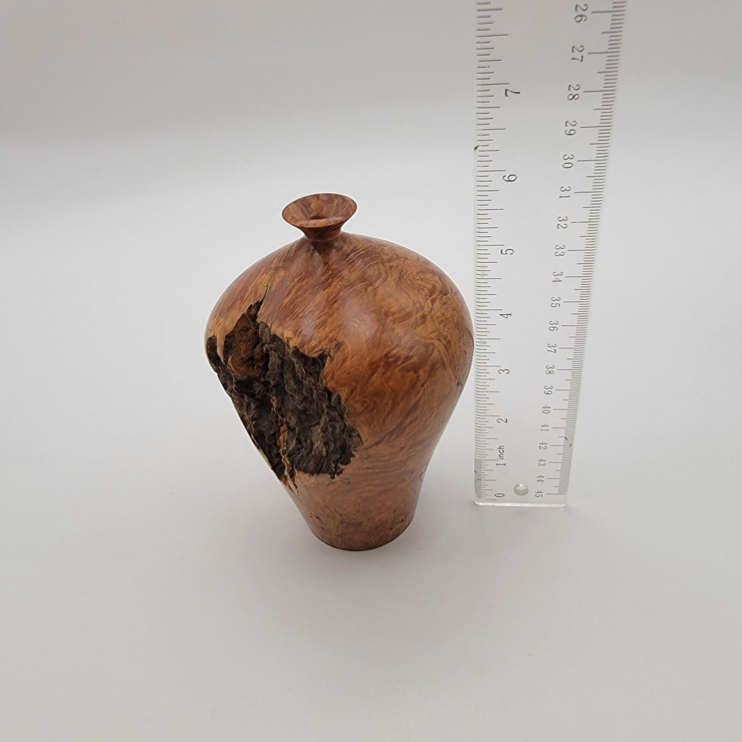 Bill Jackson Australian Mallee Root Burlwood Vase