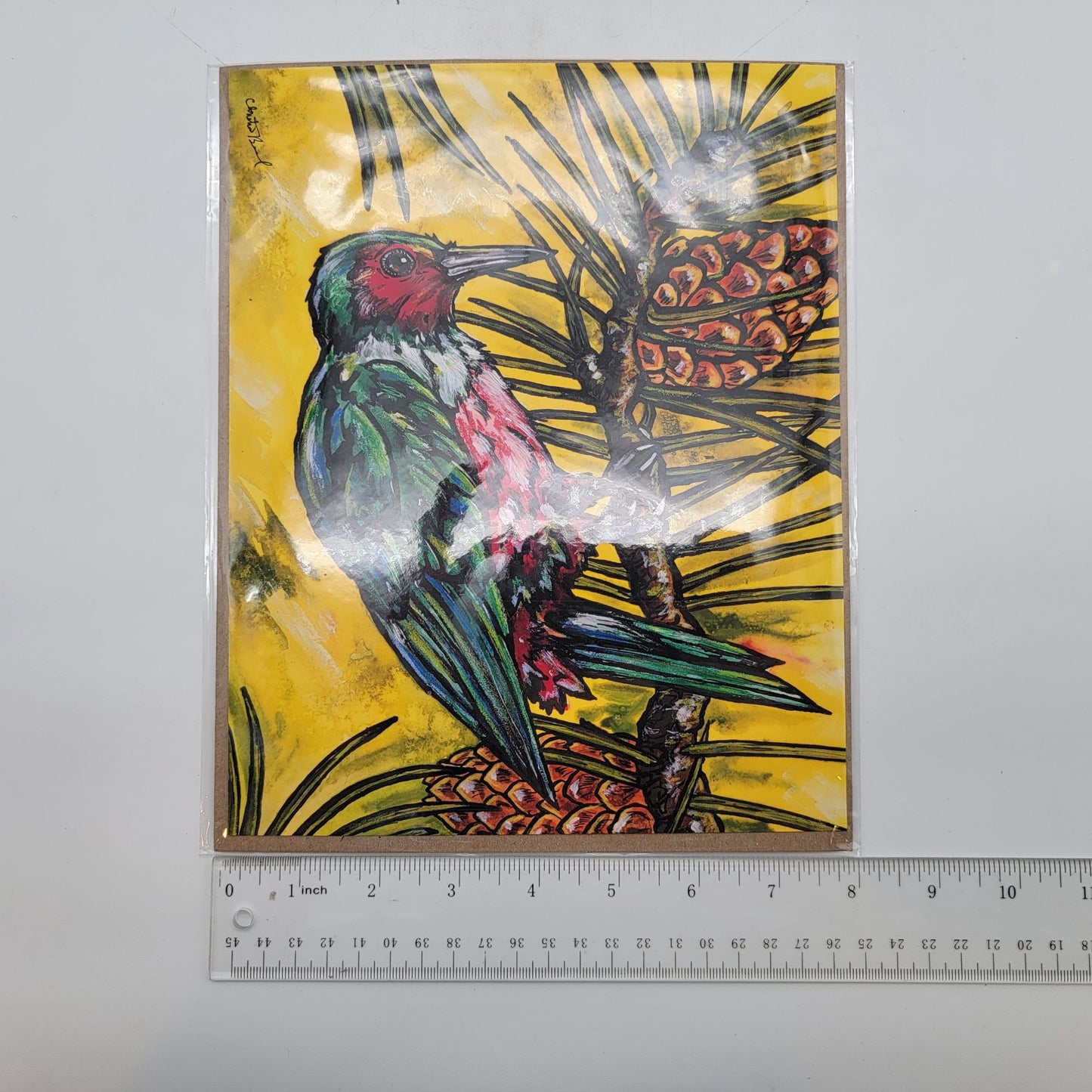 The Explorers Woodpecker Art Print By Christina Baal 8"x10" COA