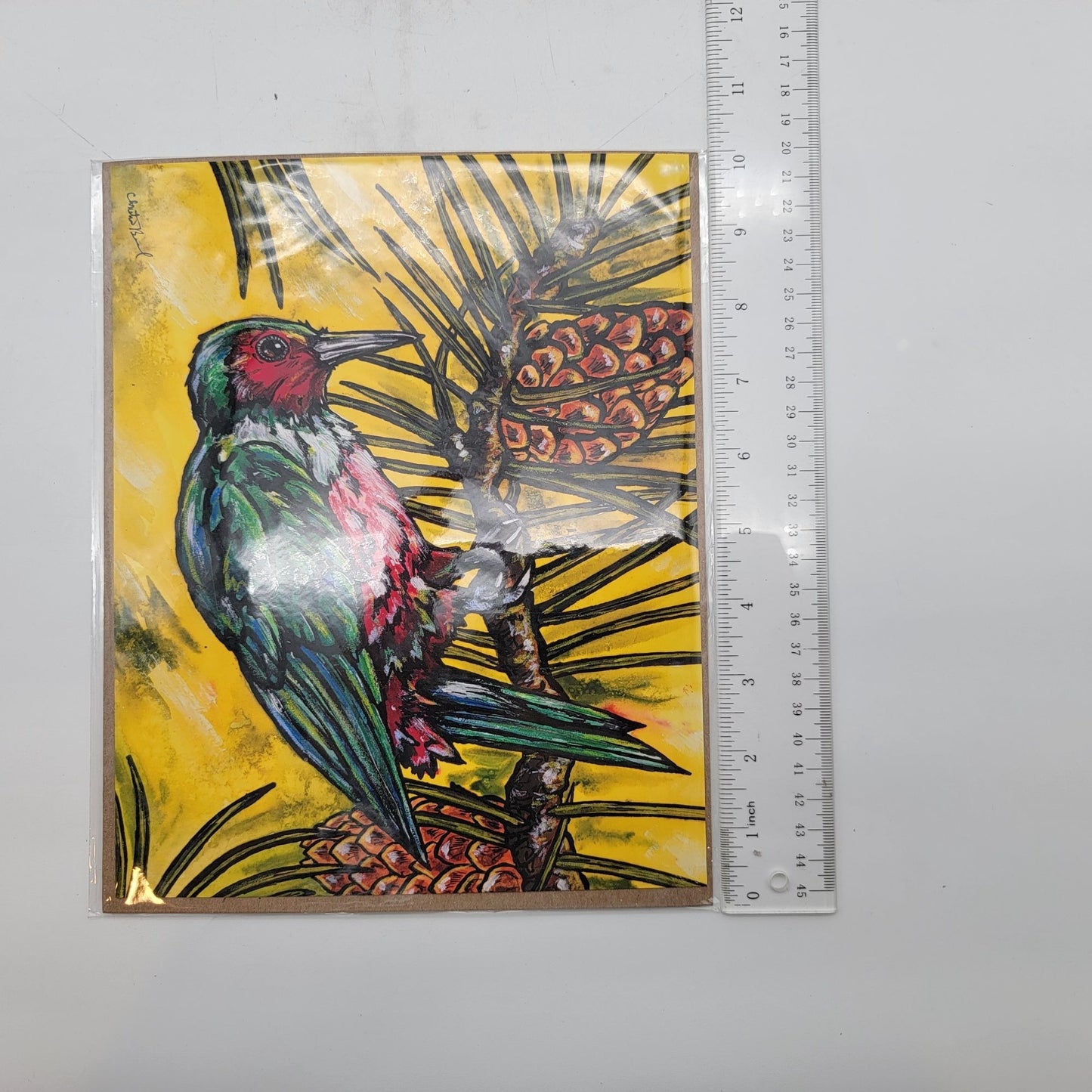 The Explorers Woodpecker Art Print By Christina Baal 8"x10" COA