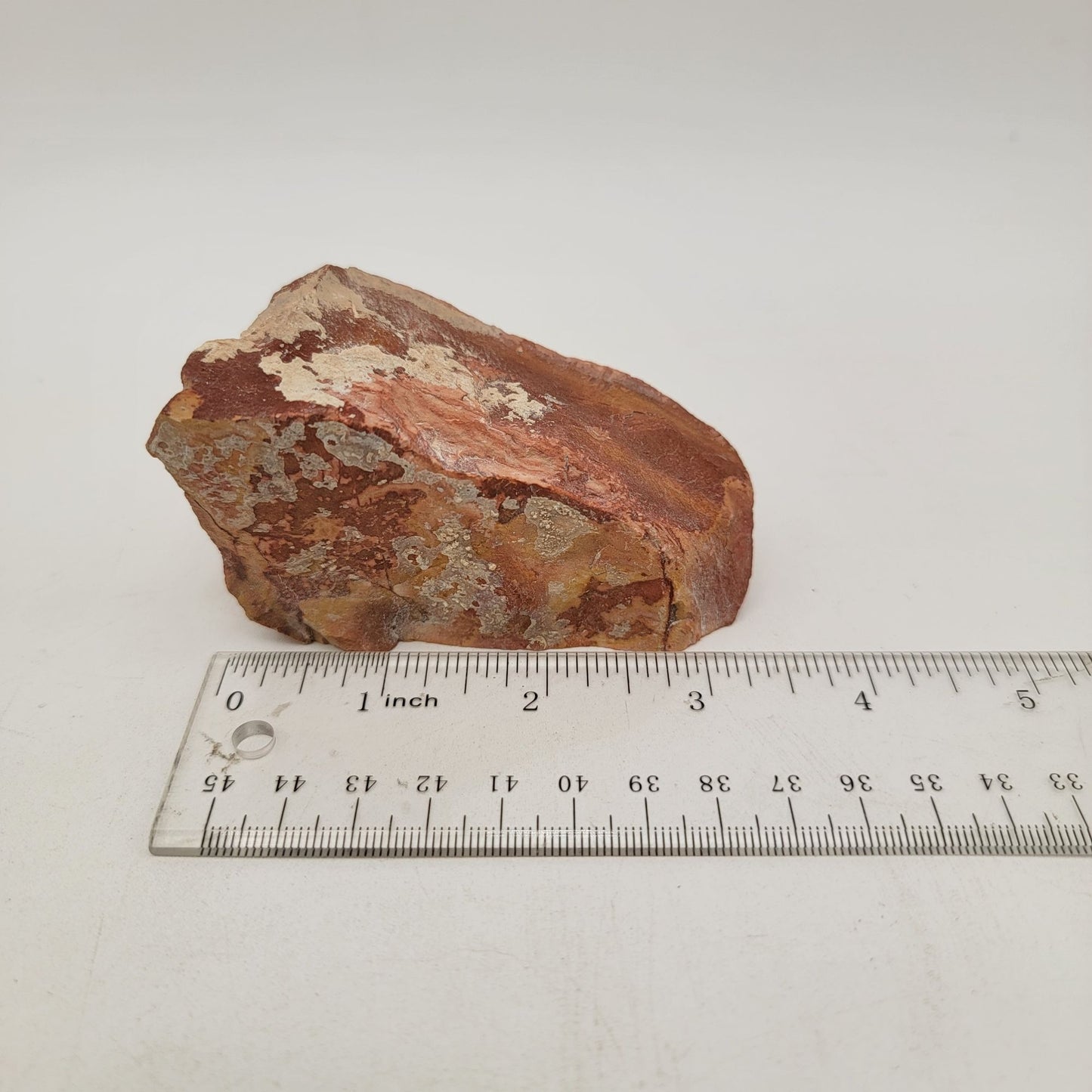 Natural Snakeskin Jasper Stone Specimen