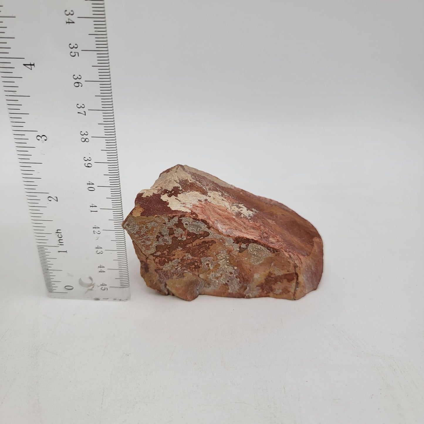 Natural Snakeskin Jasper Stone Specimen