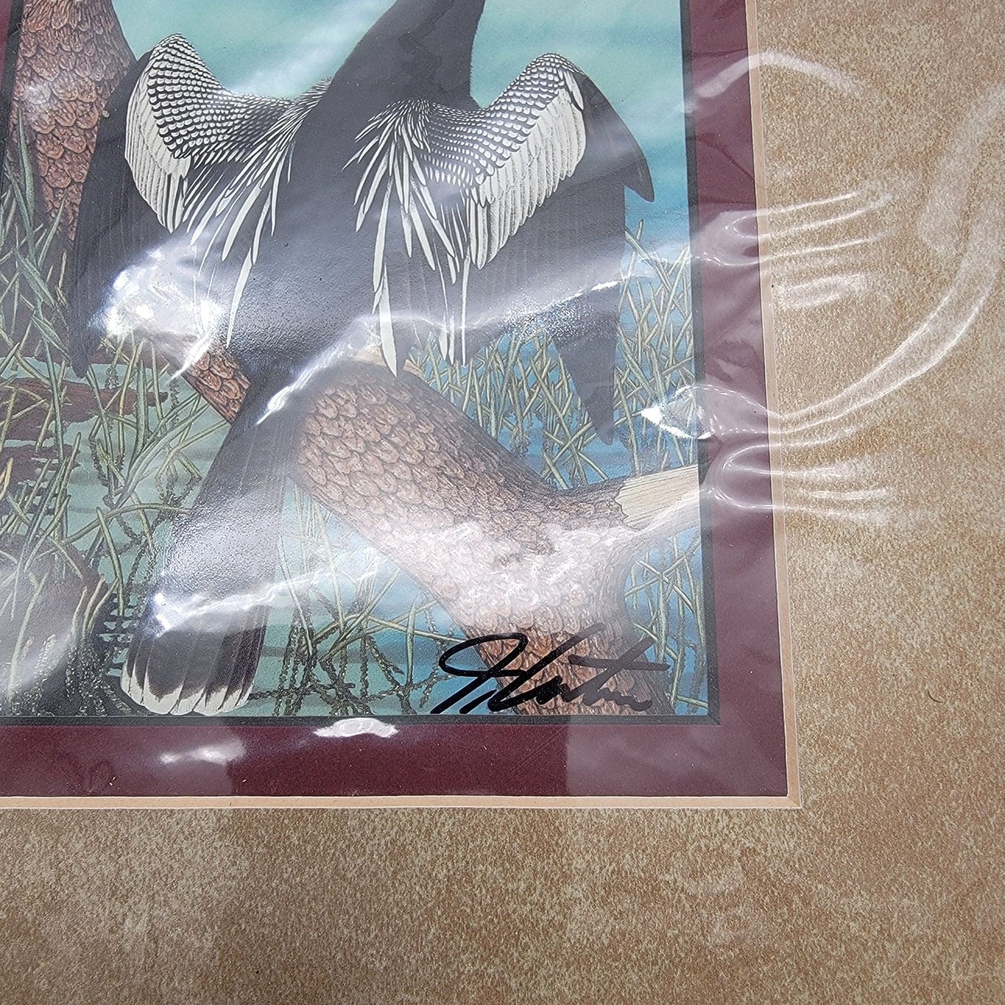 "Anhinga" Bird John Costin Signed Lithograph Matted Print 8" X 10"