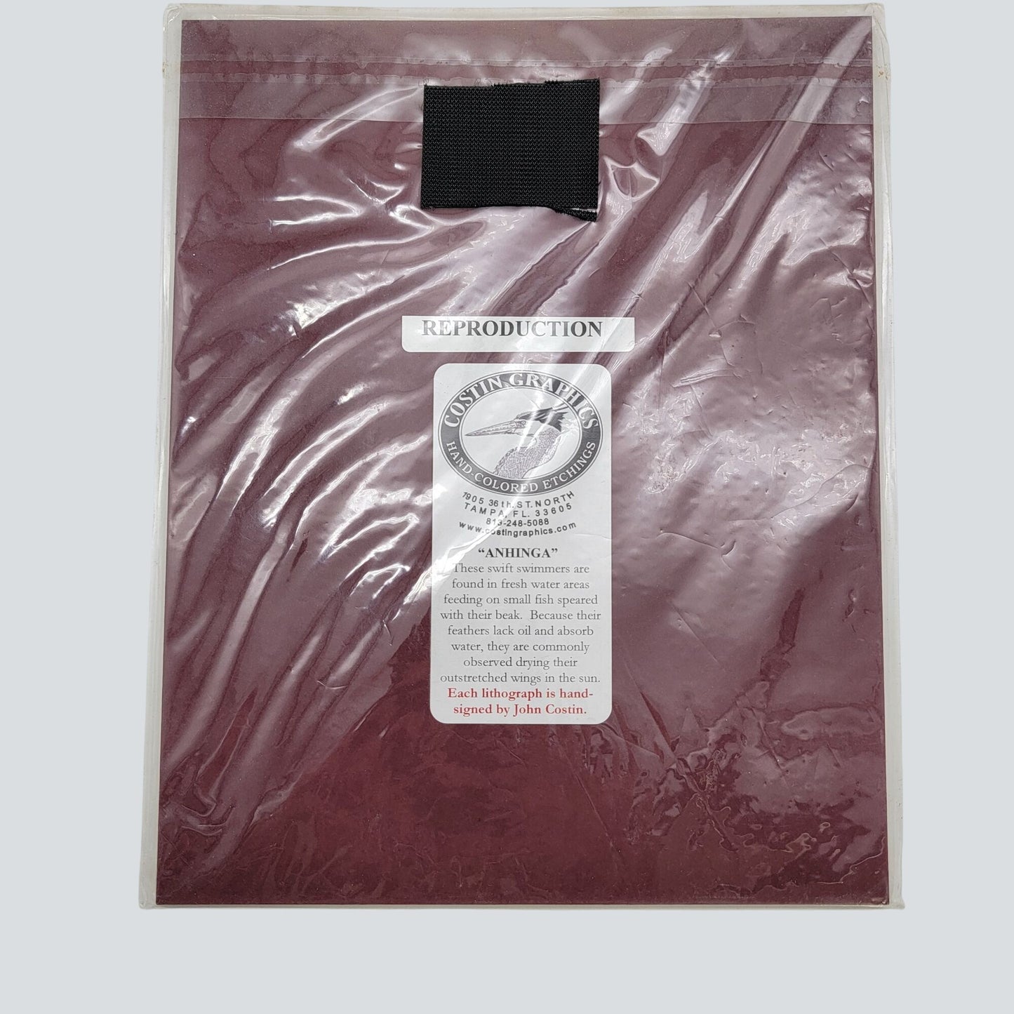 "Anhinga" Bird John Costin Signed Lithograph Matted Print 8" X 10"