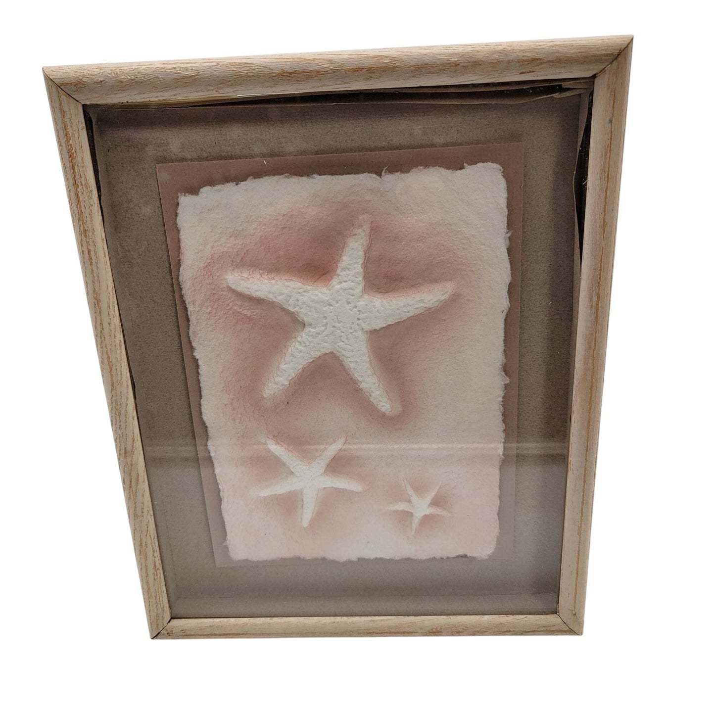 Framed Starfish Cast Paper Art By Wess Wesley Smith For Figi Graphics