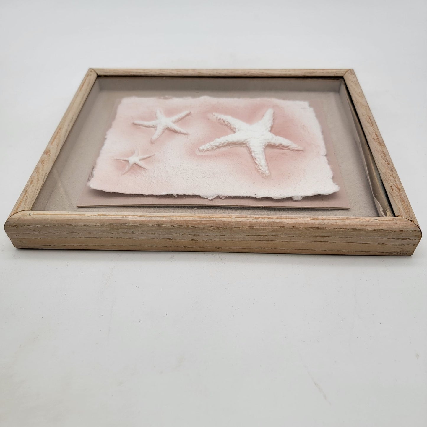 Framed Starfish Cast Paper Art By Wess Wesley Smith For Figi Graphics