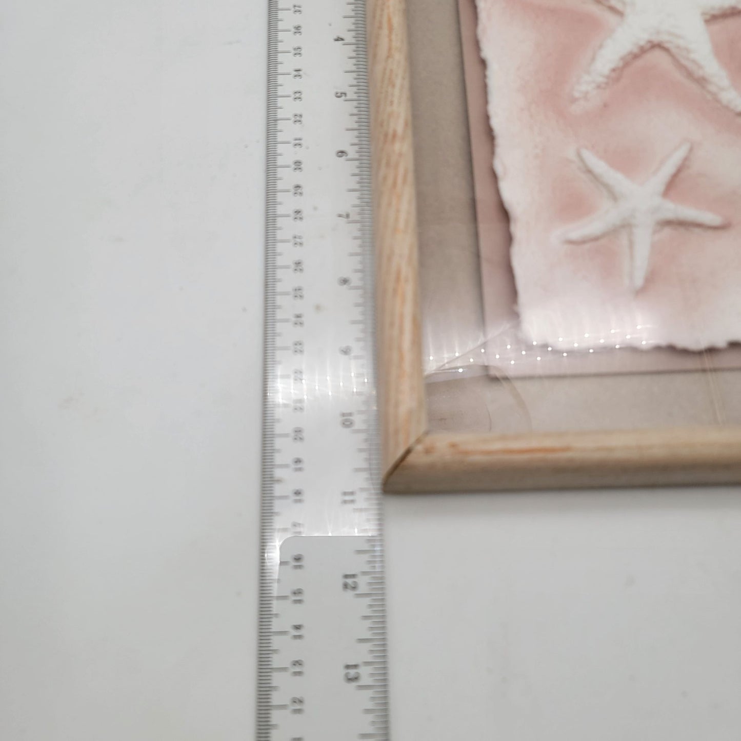 Framed Starfish Cast Paper Art By Wess Wesley Smith For Figi Graphics