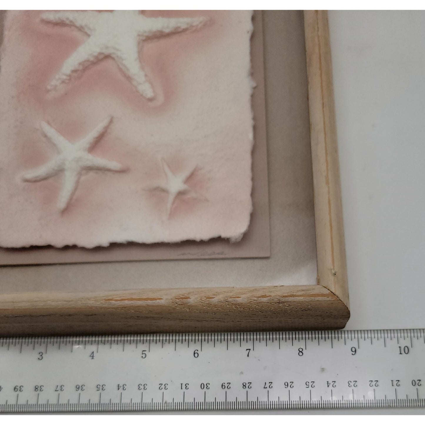 Framed Starfish Cast Paper Art By Wess Wesley Smith For Figi Graphics