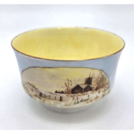 Antique Porcelain Chawan Japanese Tea Bowl Yellow