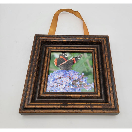 Vintage Butterfly & Floral Mini Framed Art With Satin Ribbon Hanger