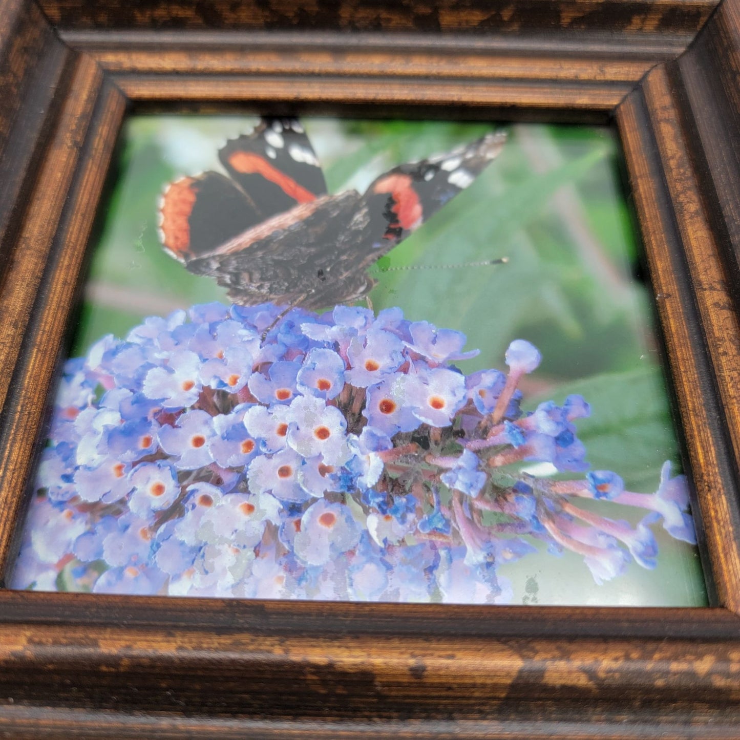Vintage Butterfly & Floral Mini Framed Art With Satin Ribbon Hanger