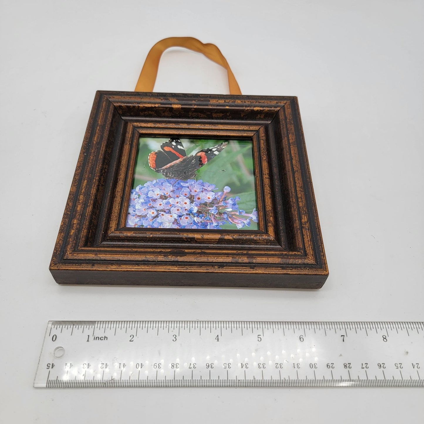 Vintage Butterfly & Floral Mini Framed Art With Satin Ribbon Hanger