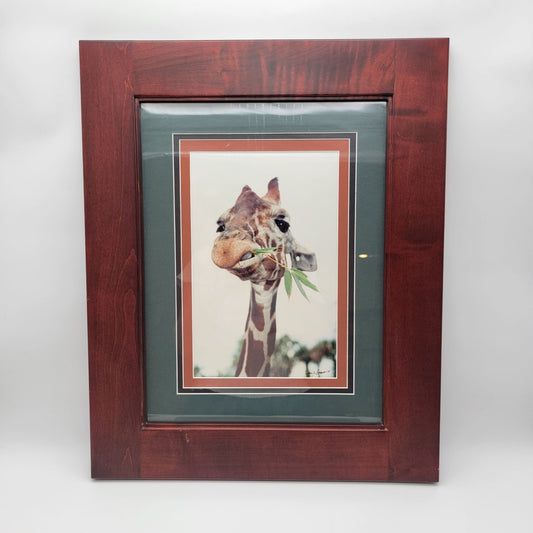 Gerry Lamarre Giraffe Eating Bamboo Photo Print Framed
