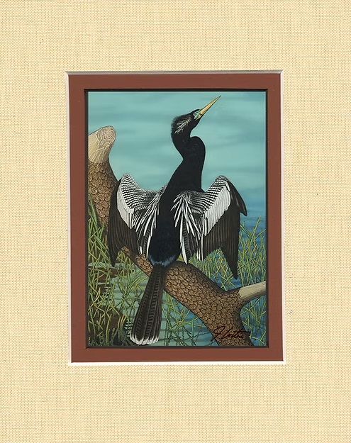 "Anhinga" Bird John Costin Signed Lithograph Matted Print 8" X 10"