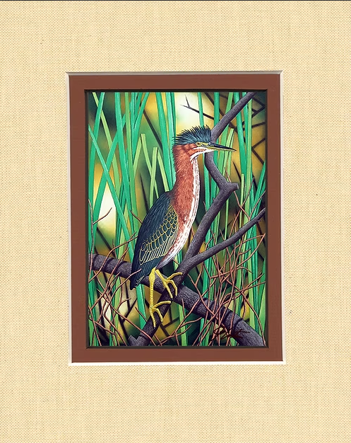 "Green Heron" Hand-Colored Lithograph By John Costin Matted Wall Art Signed