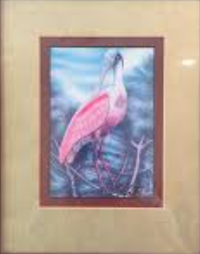 "Roseate Spoonbill" Bird Matted Lithograph Art Print Signed By John Costin