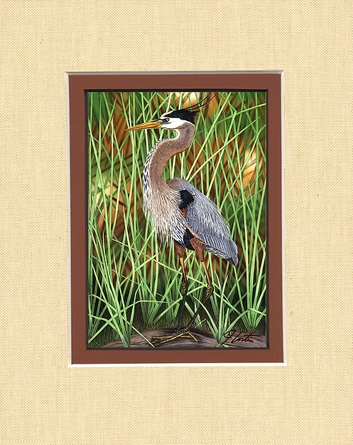"Great Blue Heron" Bird Matted Lithograph Print Signed By John Costin
