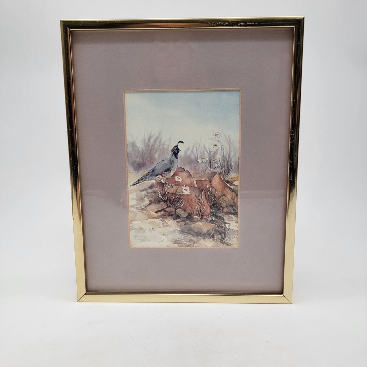 Vintage Quail Print By Kit Ritter Framed & Matted Wall Art