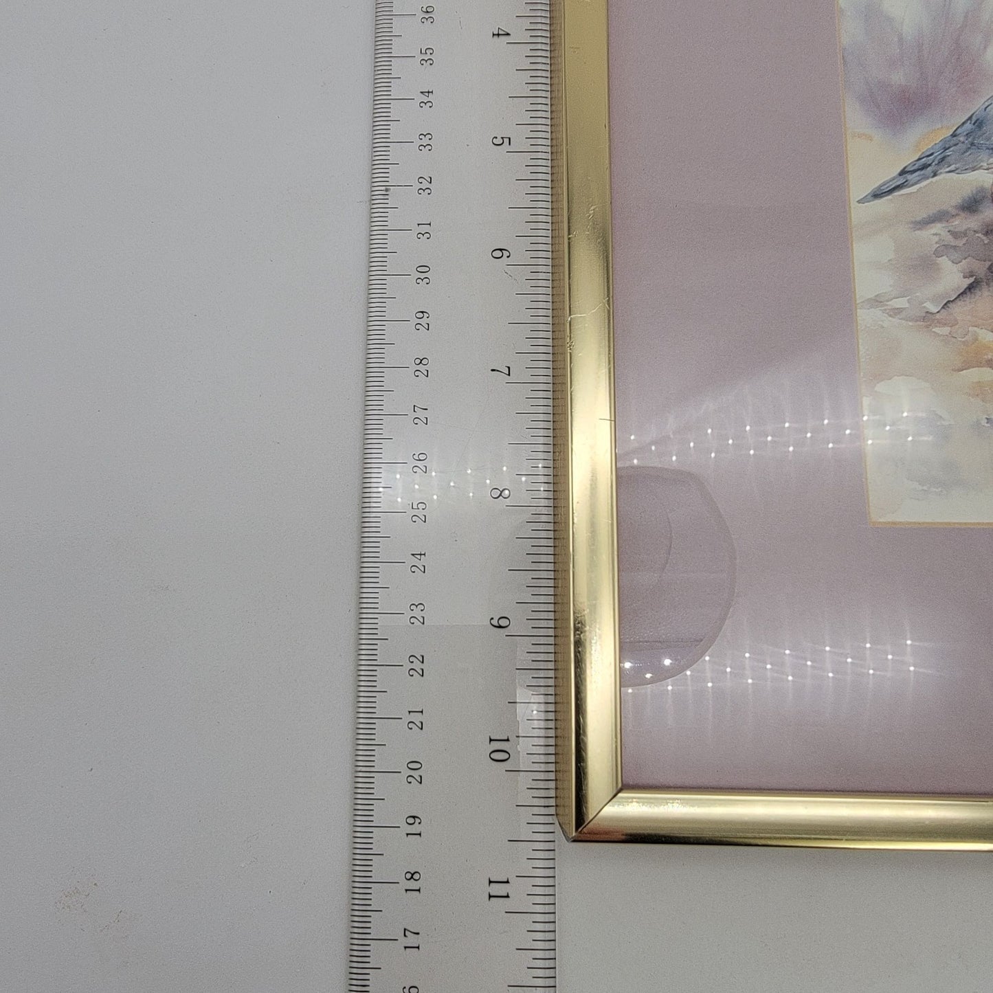 Vintage Quail Print By Kit Ritter Framed & Matted Wall Art