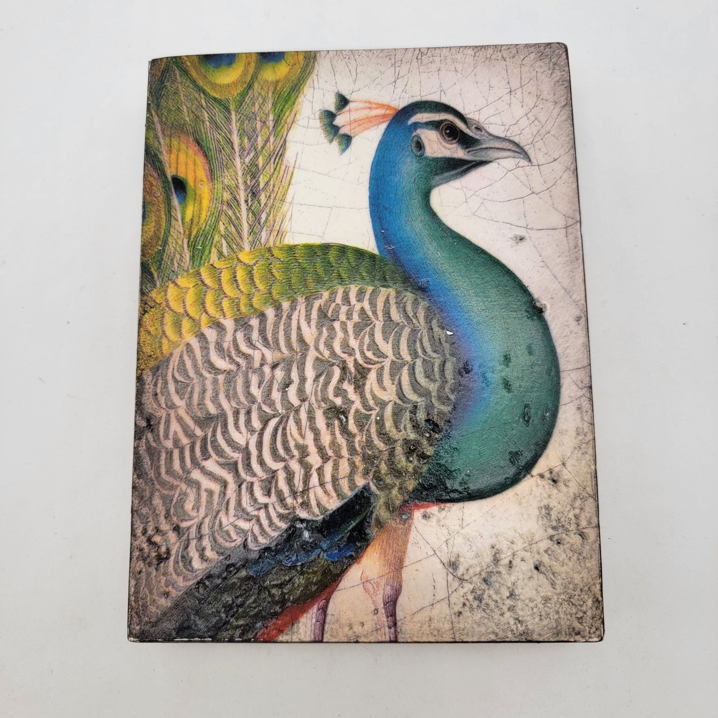 Sid Dickens T-287 Fabled Bird Memory Block Peacock Wall Art Decor - as found