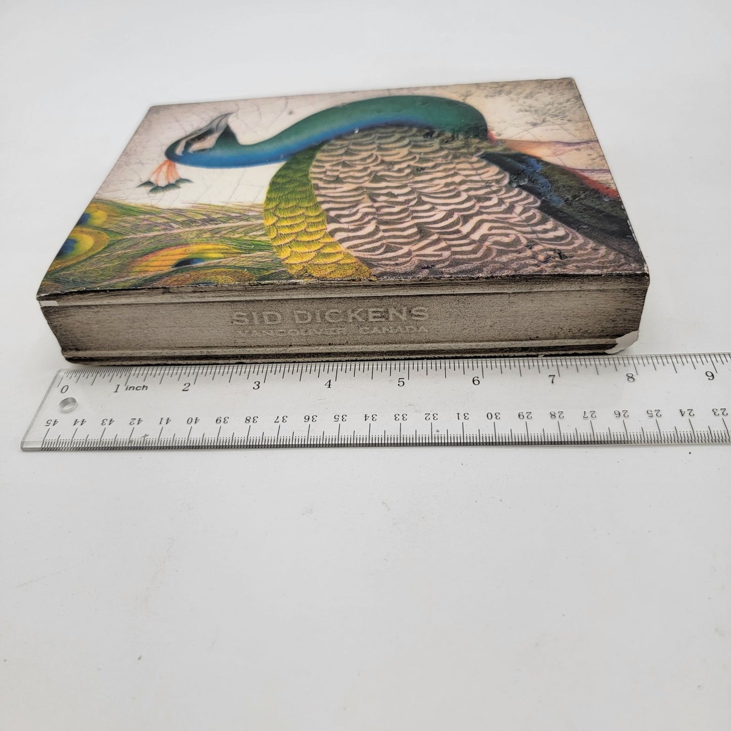 Sid Dickens T-287 Fabled Bird Memory Block Peacock Wall Art Decor - as found