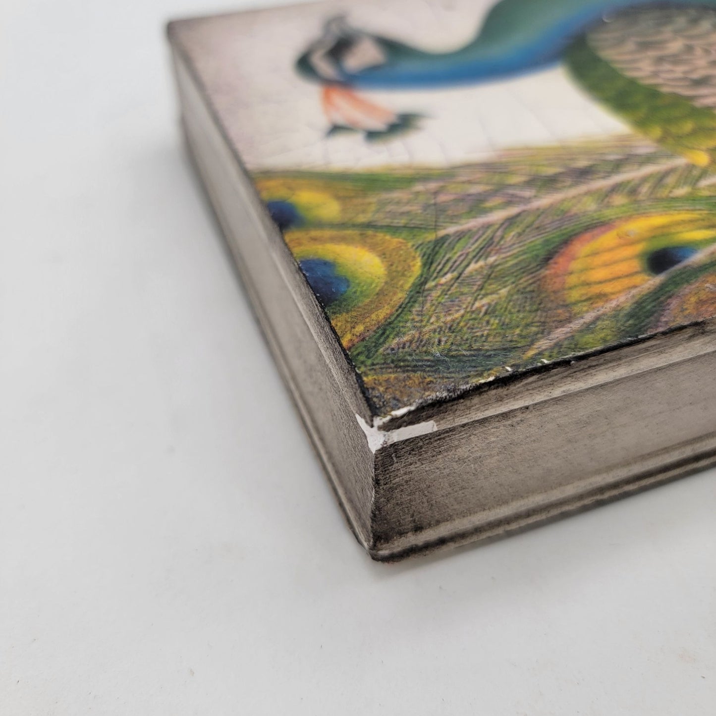 Sid Dickens T-287 Fabled Bird Memory Block Peacock Wall Art Decor - as found