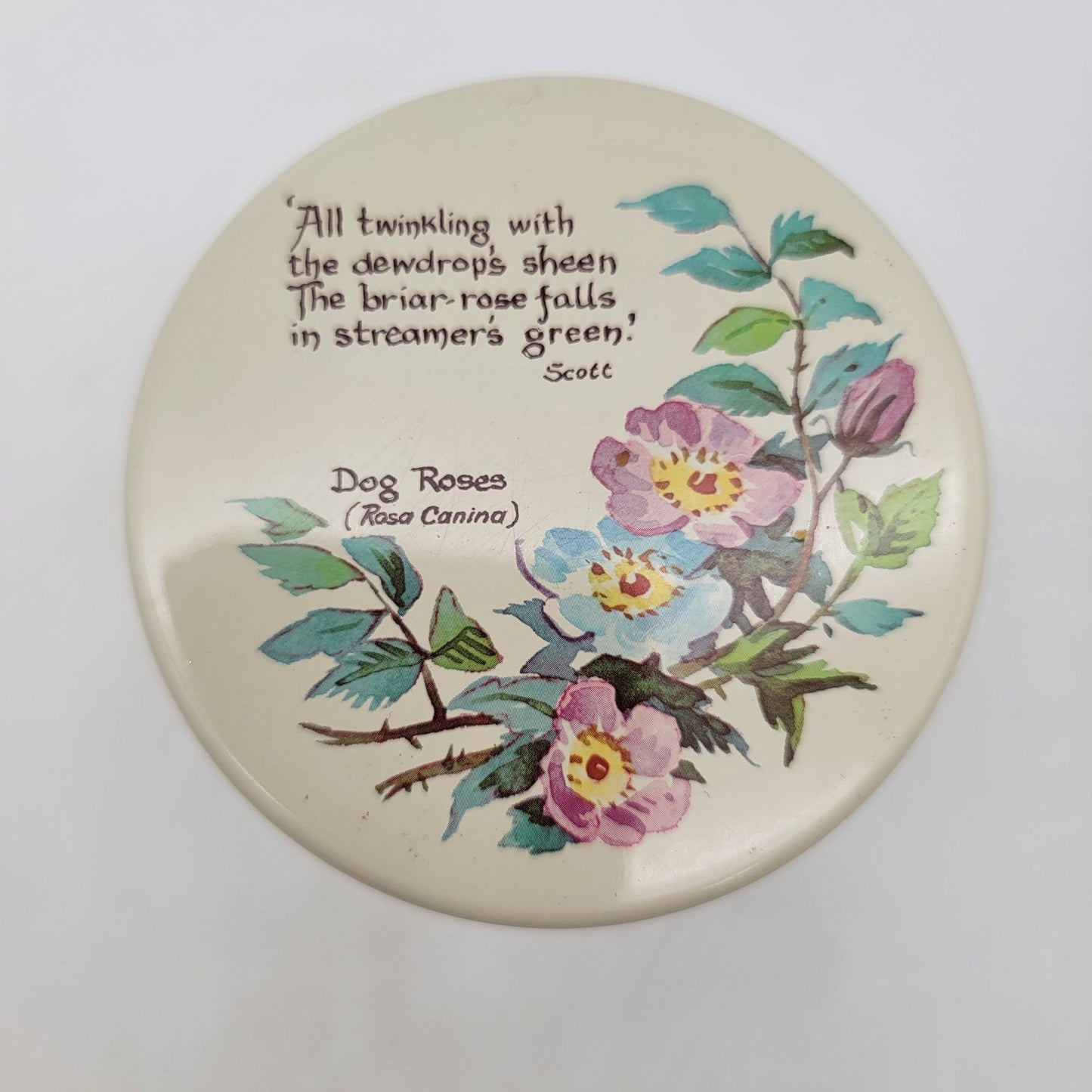 Vintage 1977 Richard Webbs Canister Tea Tin