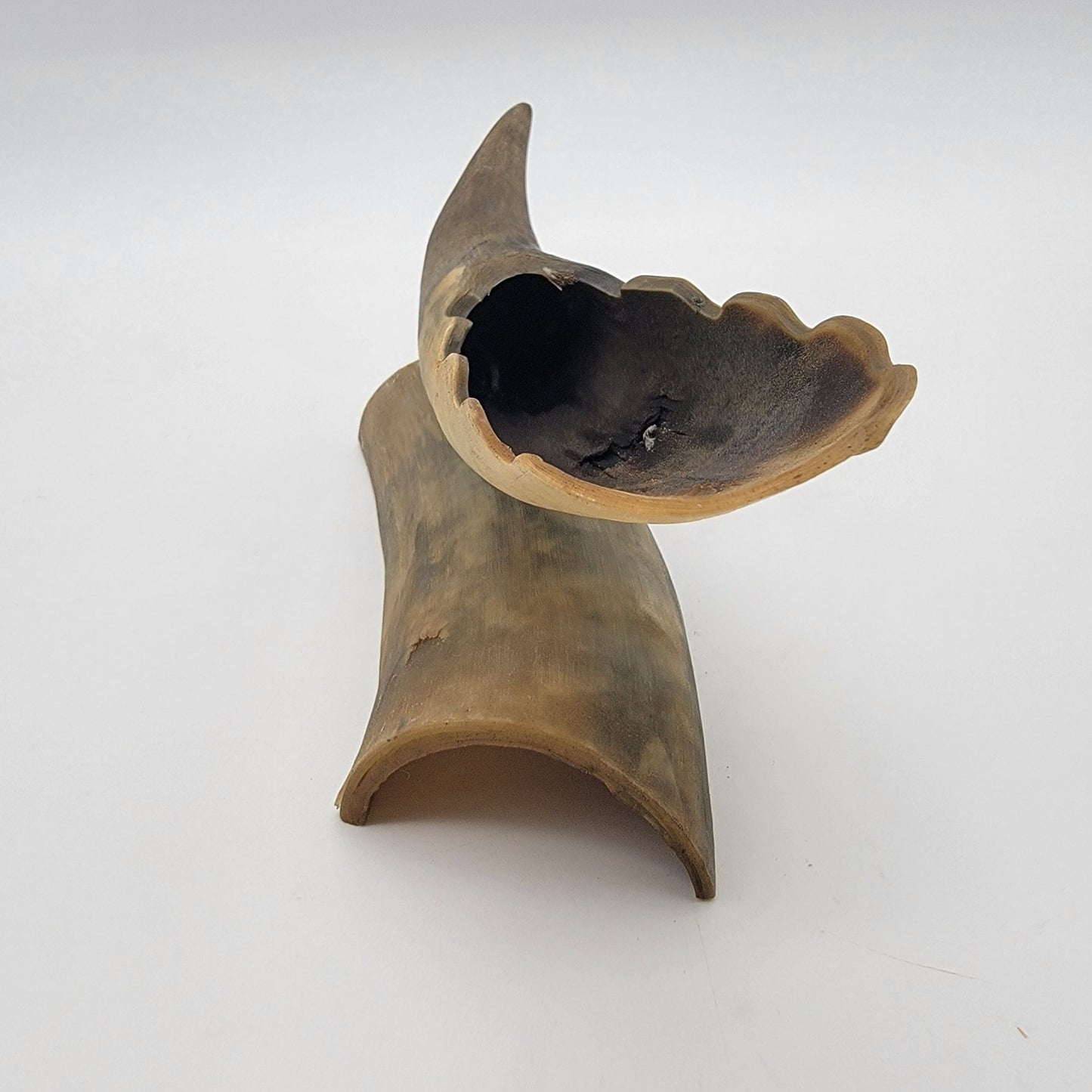 Vintage Horn Incense Burner Holder